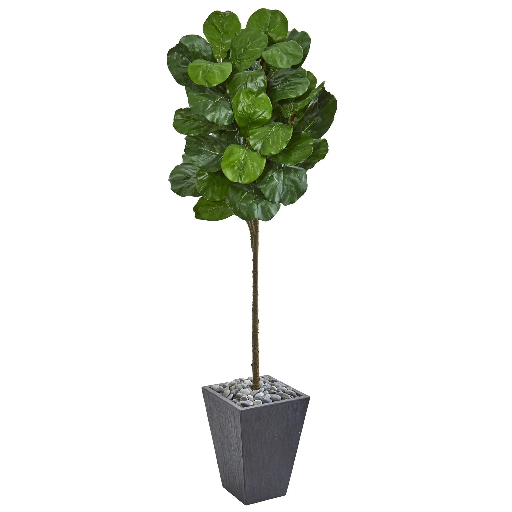 6' Artificial Fiddle Leaf Tree in Slate Finished Planter - Low Maintenance, Life-Like & Vibrant Silk Trees For Busy People.